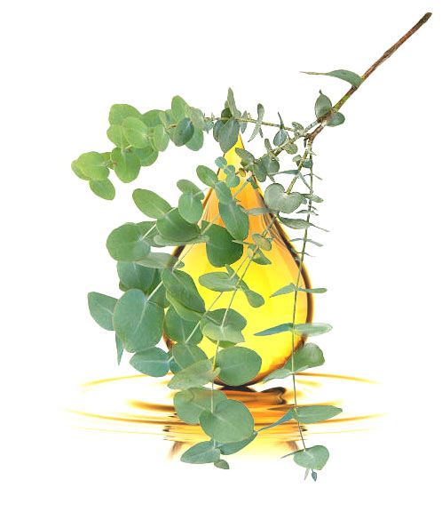 &Eacute;terick&eacute; oleje