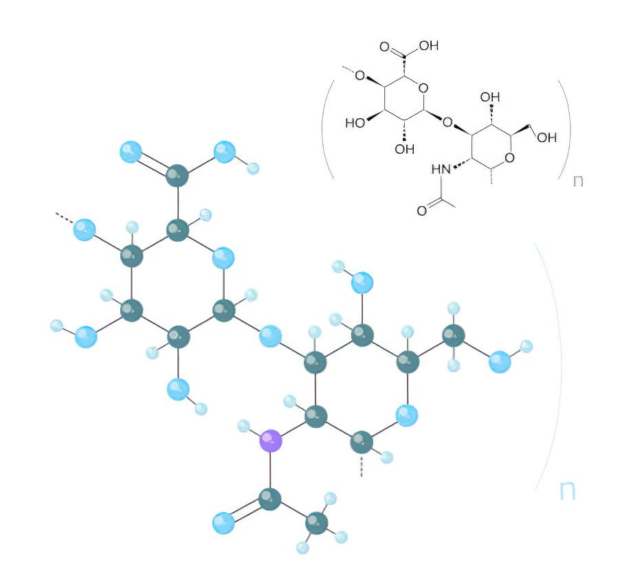 kyselina hyaluronov&aacute;