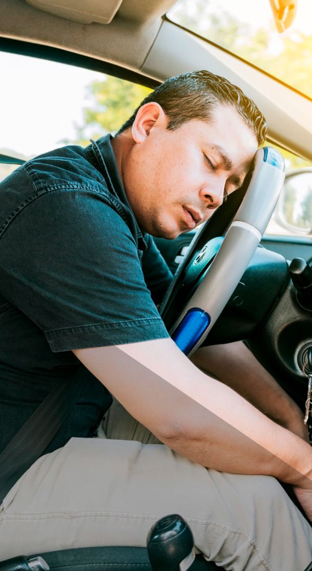 theBRAINER&reg; granul&aacute;t