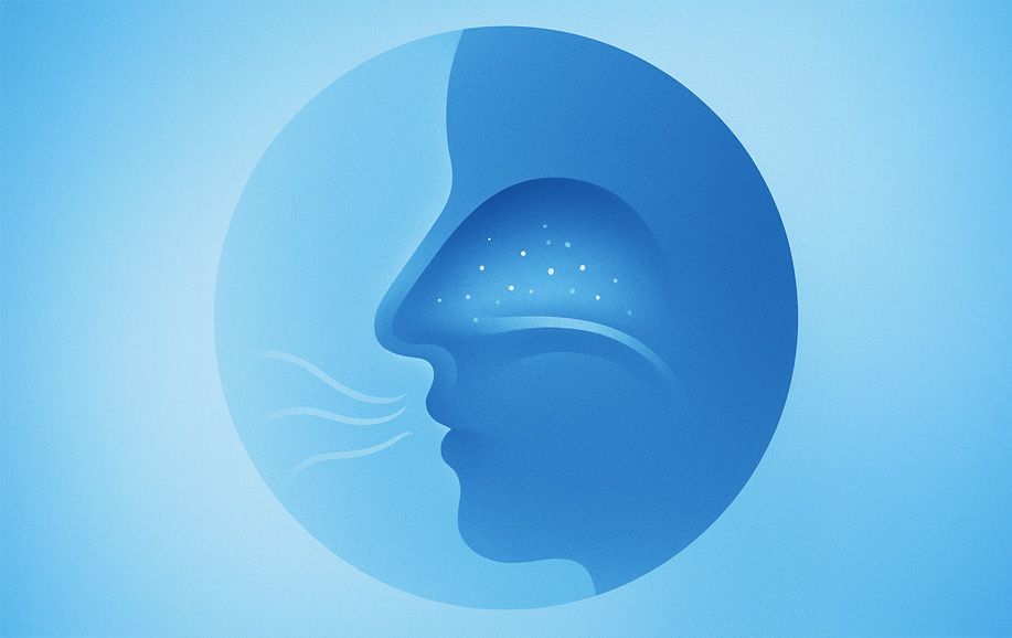 Nosní sliznice – ochrana před suchem a podrážděním